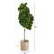5.5ft. Fiddle Leaf Fig Artificial Tree in Handmade Natural Cotton Multicolored Woven Planter
